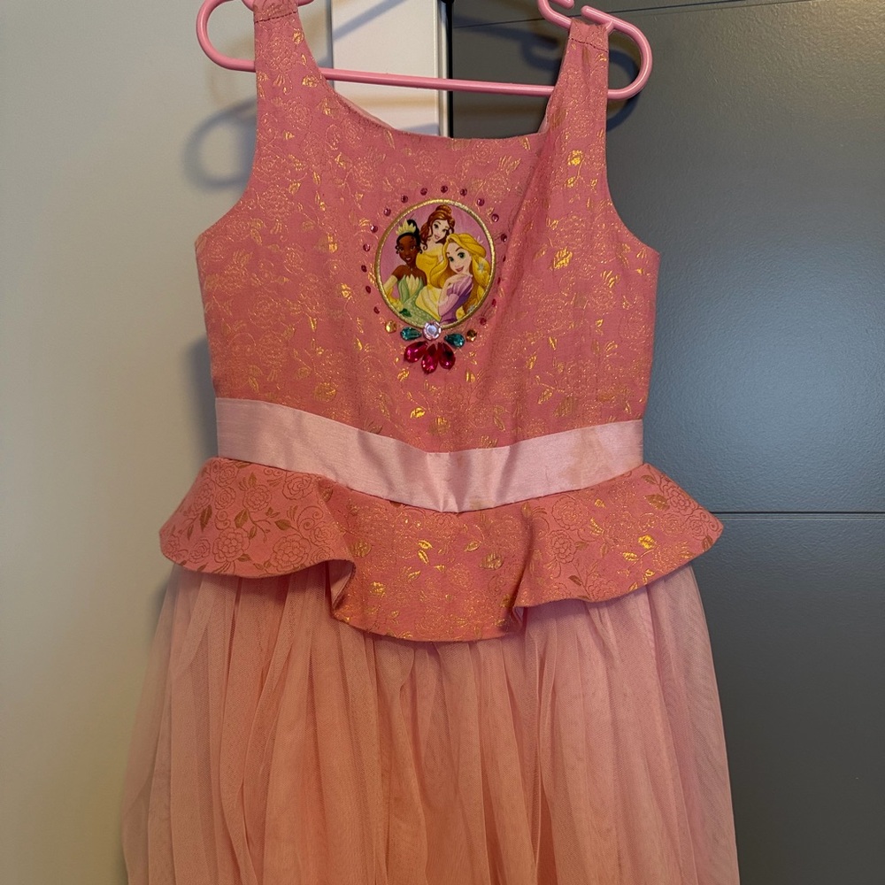 Disney Pink and Gold Princess Costume Dress